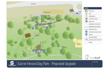 Carine Dog Park Remediation Consultation Plan